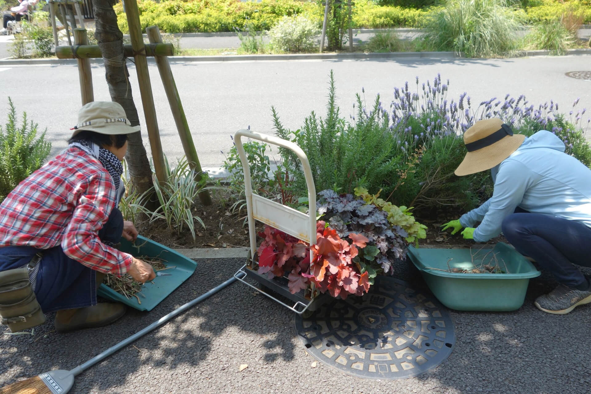 ガーデン活動の画像